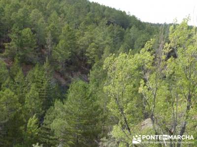 Ciudad Encantada de Tamajón - Retiendas - Almiruete;botas de goretex;hoces duraton